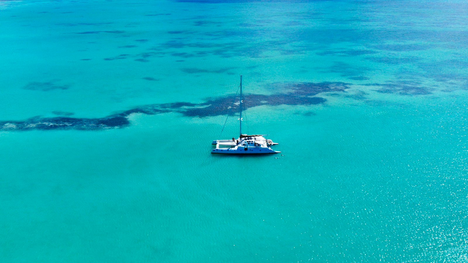 Excursión a Isla Saona